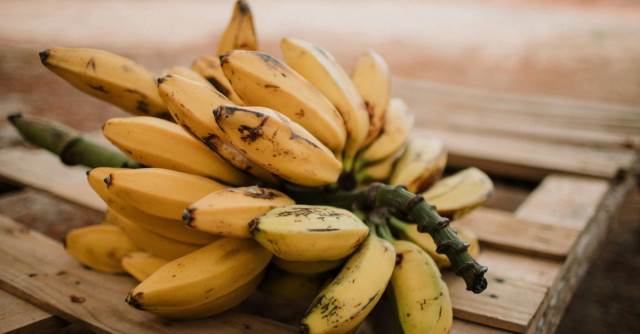 受中東戰火波及！印度香蕉出口受阻全面停擺